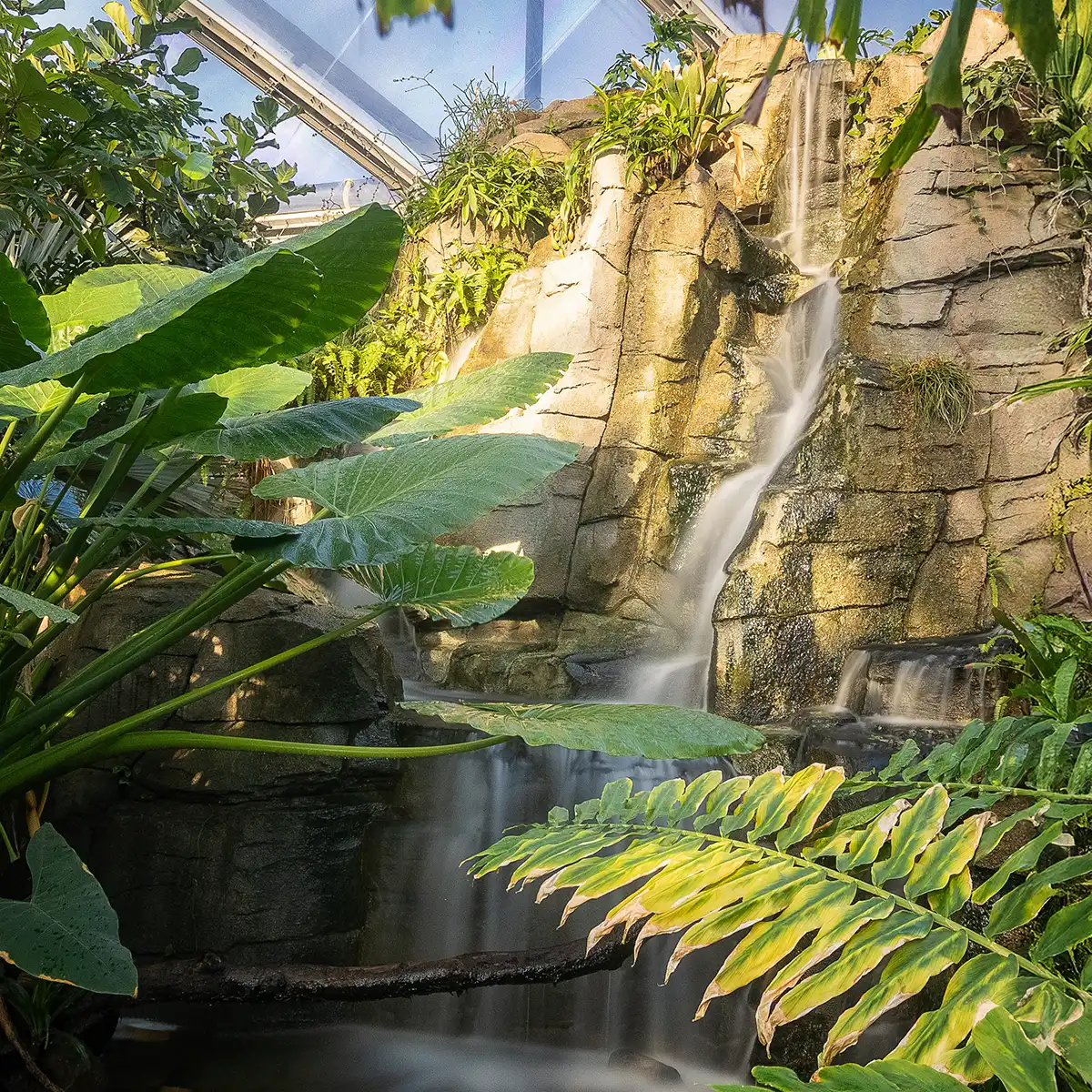 Innenbereich der Meranti-Halle im Allwetterzoo Münster